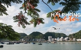 Thông báo của Hội người Hải Phòng tại Ba Lan Thông báo của Hội người Hải Phòng tại Ba Lan