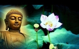Chùa Nhân Hòa tại BL: Thông báo mời dự lễ cầu siêu Chùa Nhân Hòa tại BL: Thông báo mời dự lễ cầu siêu