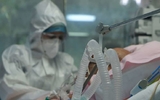 Đột biến mới của coronavirus. Đột biến mới của coronavirus.