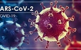 Cái gì chúng ta chưa biết về vi rút SARS-CoV-2? Vẫn còn nhiều câu hỏi ngỏ. Cái gì chúng ta chưa biết về vi rút SARS-CoV-2? Vẫn còn nhiều câu hỏi ngỏ.