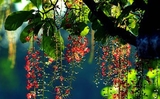Nồng Nàn Tháng Tư Nồng Nàn Tháng Tư